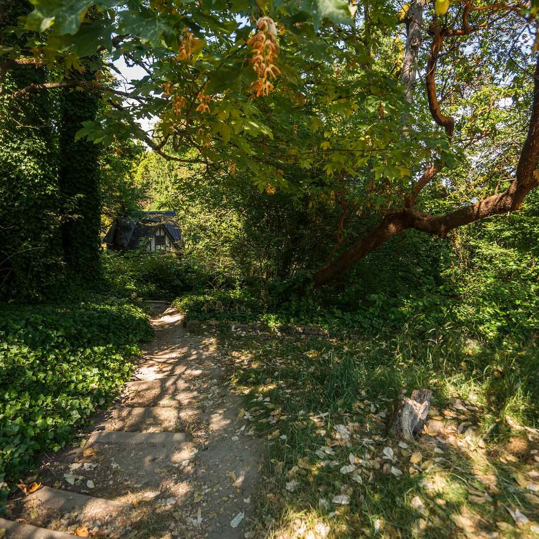 Leschi-Lake Dell Natural Area 2