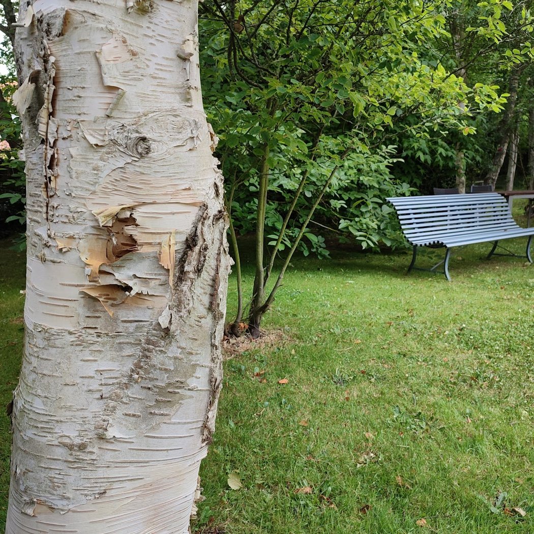 Tristan Froger Jardins et Paysages 1