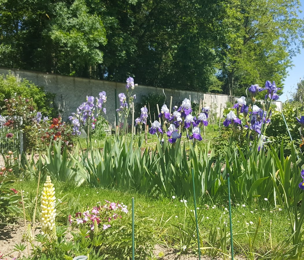 Relais-Nature Jouy-Vélizy 3