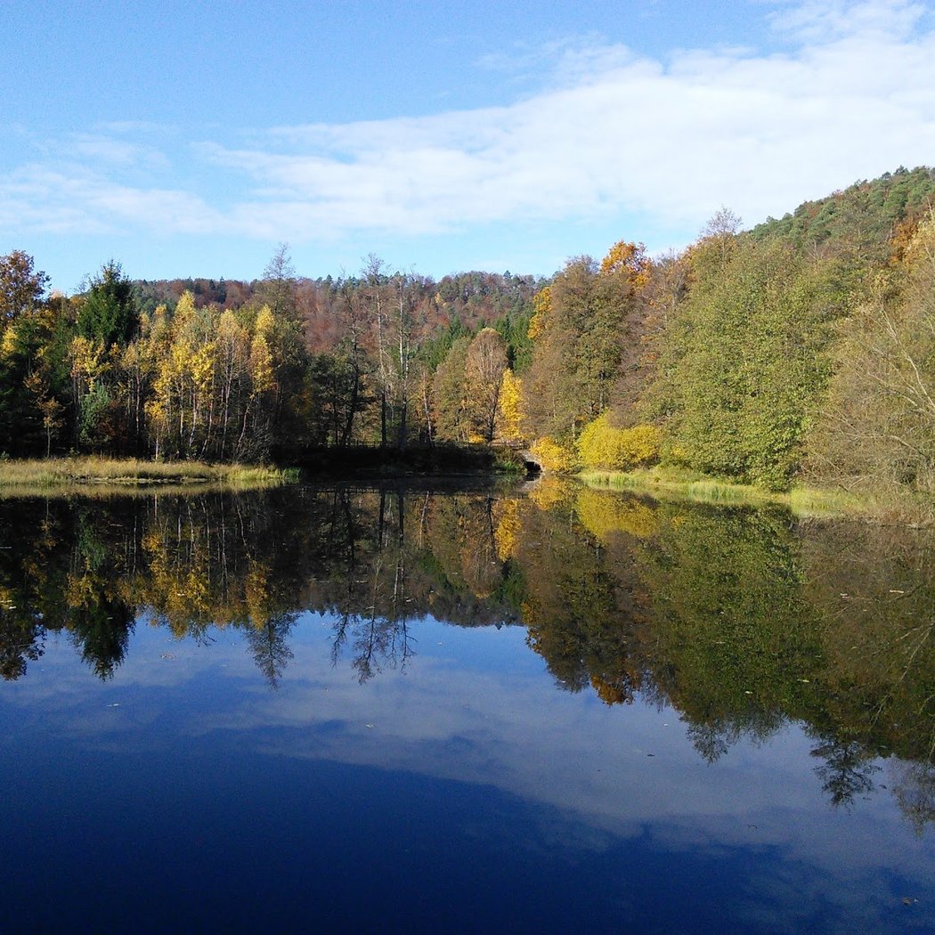 North Vosges Regional Natural Reserve 2
