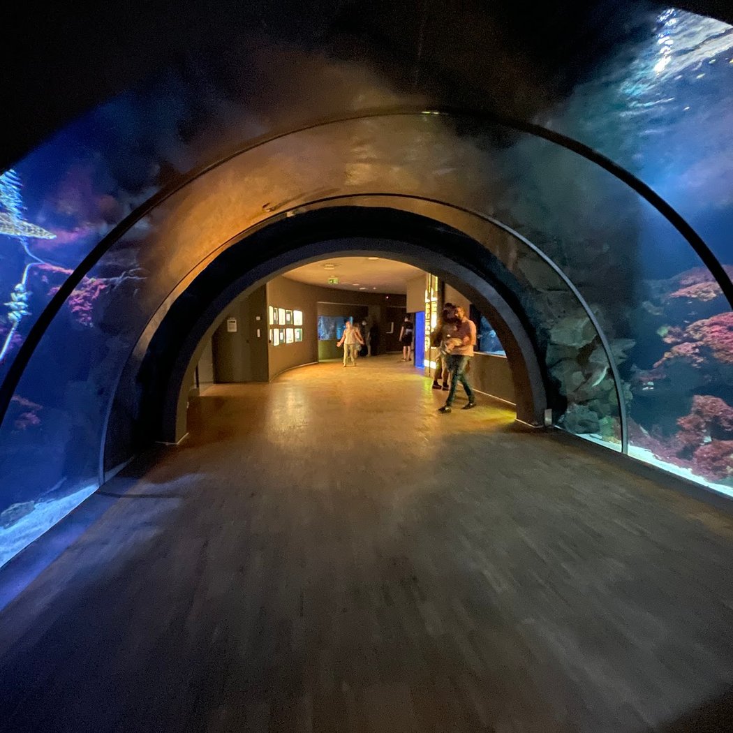 Acquario Civico e Stazione Idrobiologica di Milano 3