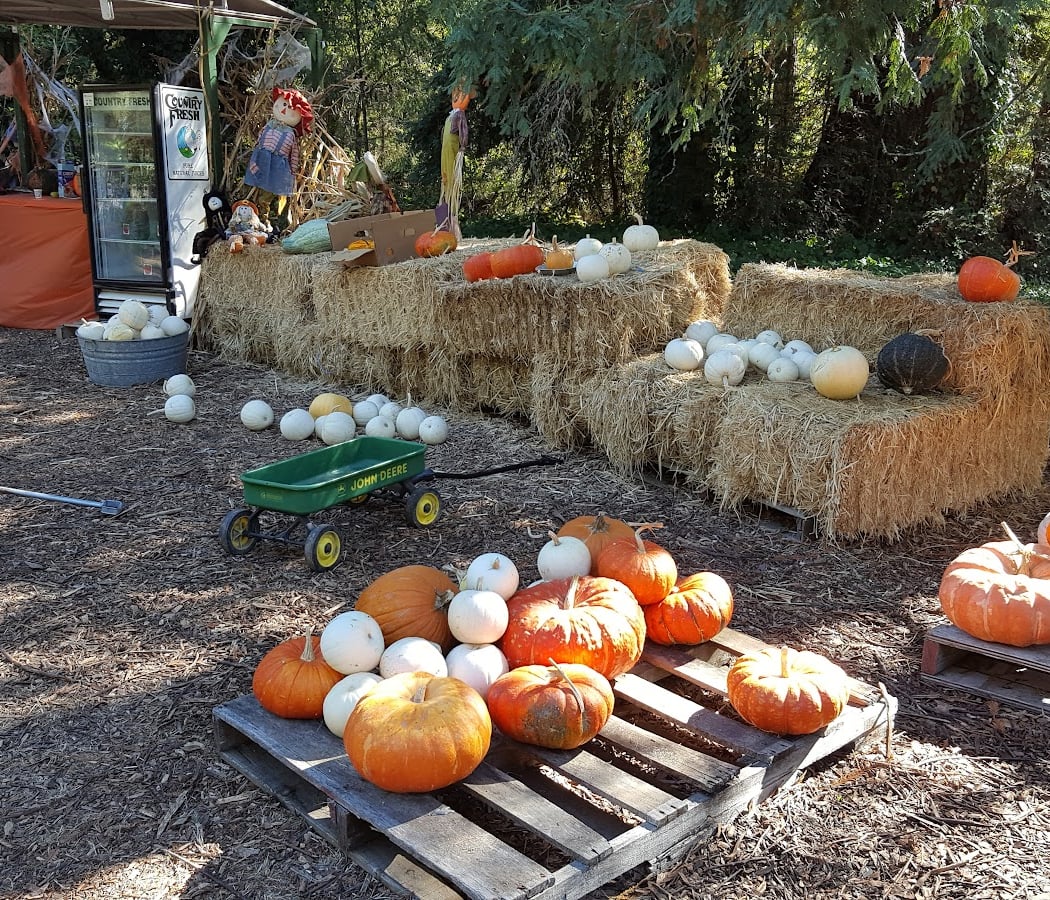 Papa's Pumpkin Patch 2