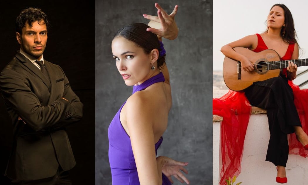 Flamenco Nights 1