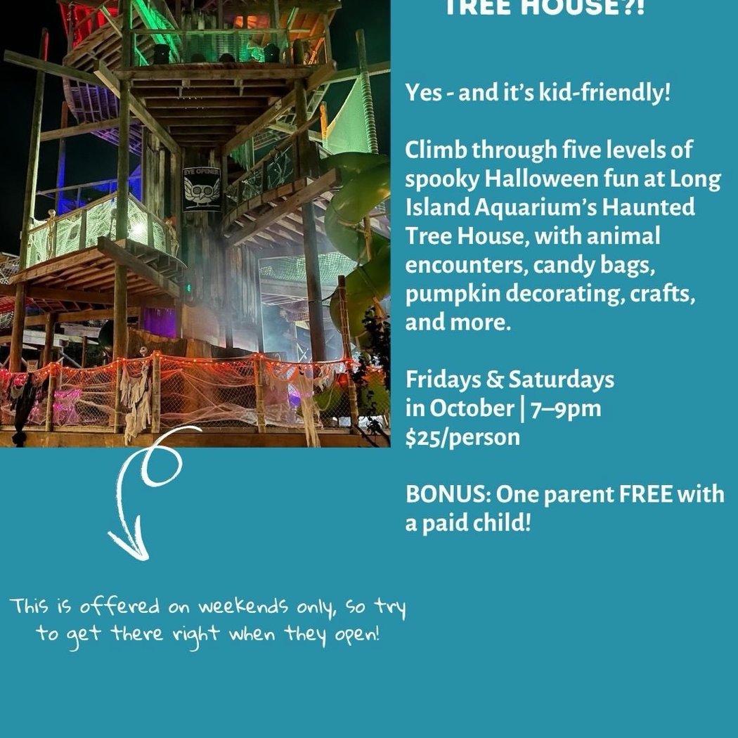 The Haunted Tree House