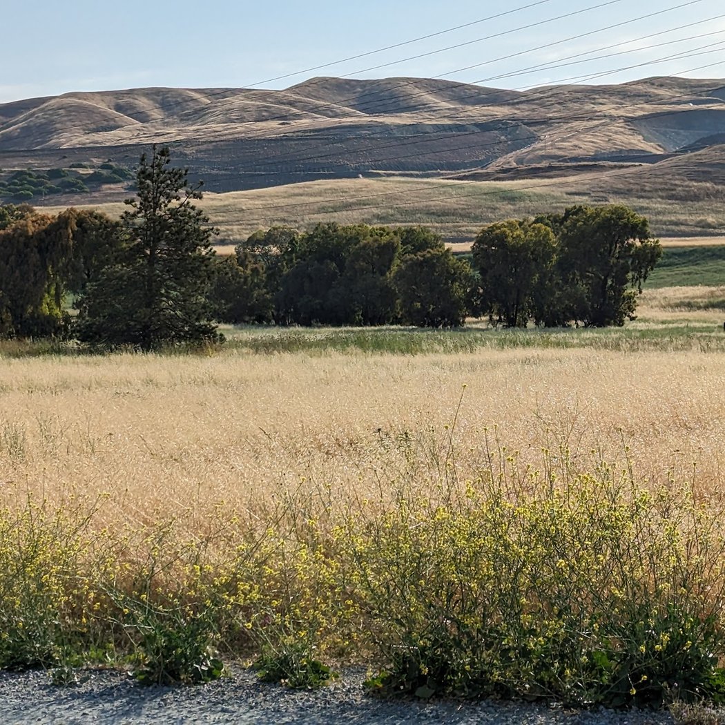Coyote Creek Parkway 3