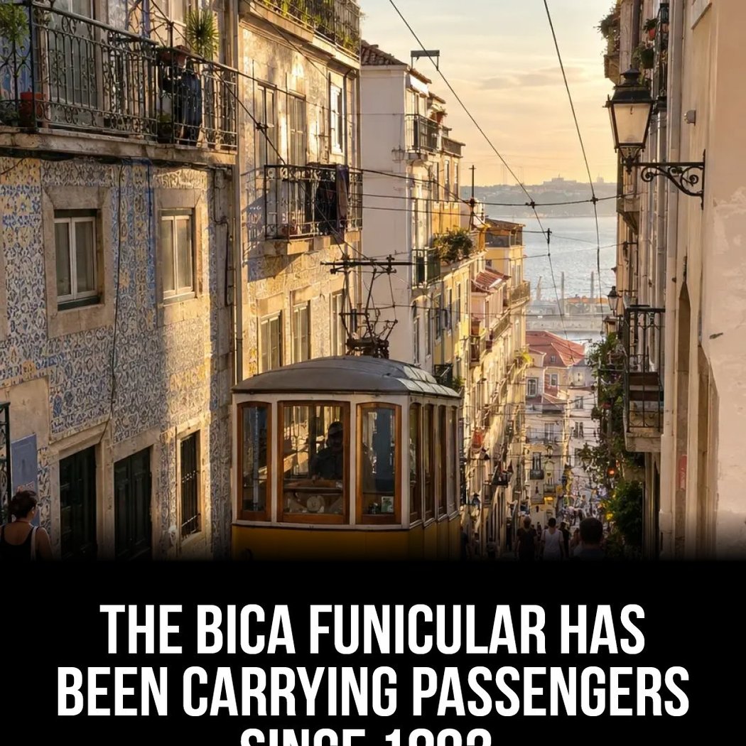 LSA Ascensor da Bica by Numa 1