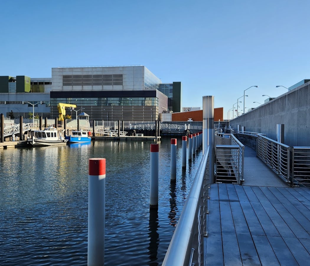 Newtown Creek Nature Walk 3
