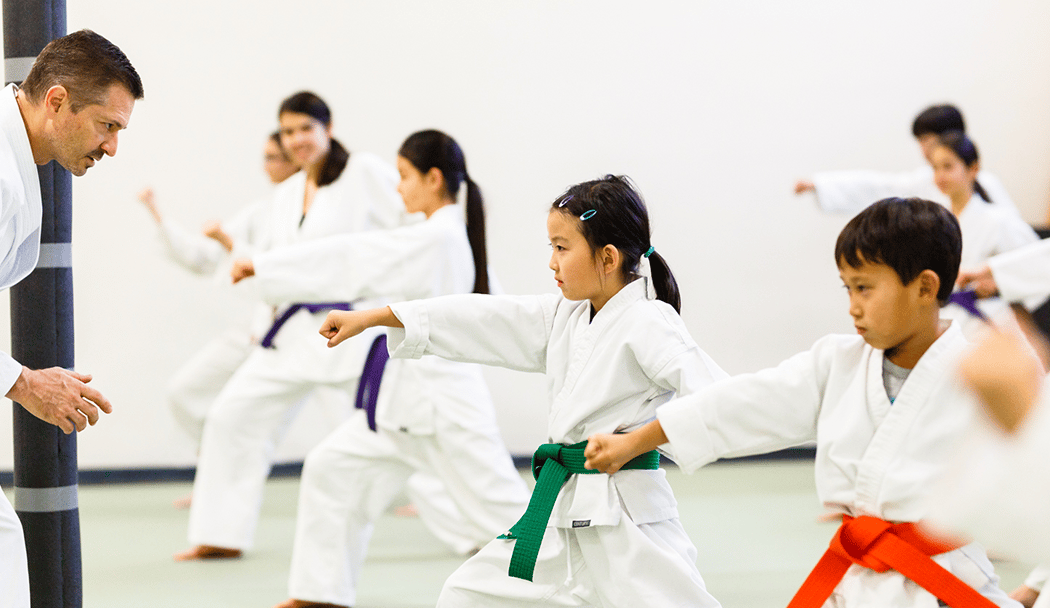 Silicon Valley Karate 1