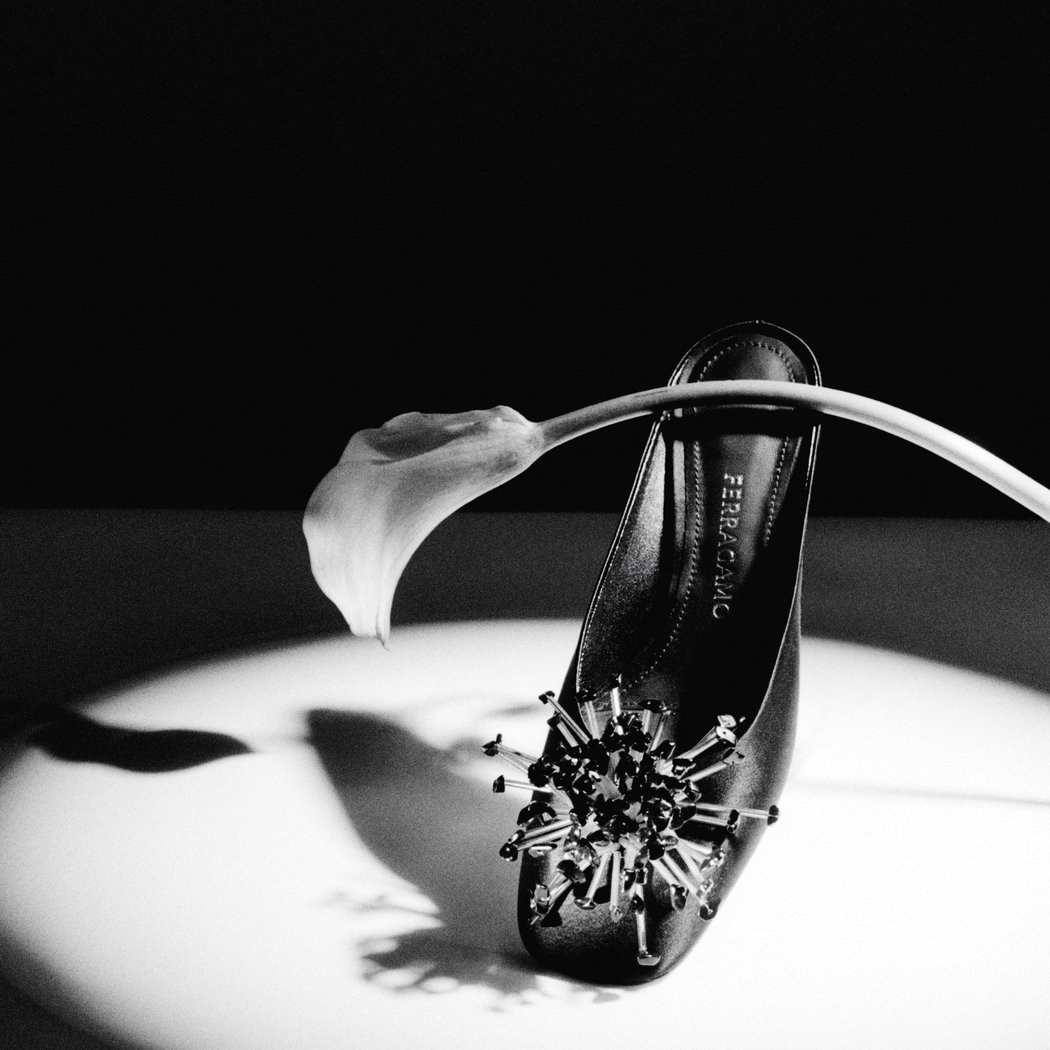 rétrospective Camille Vivier 3