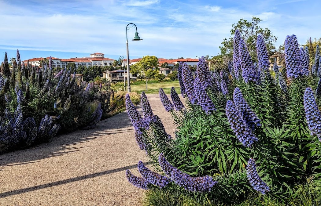 Sea Terrace Community Park 1