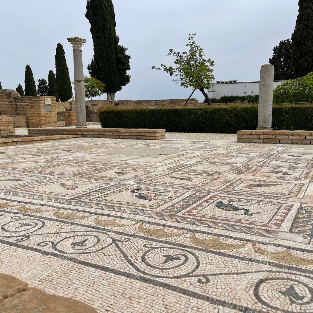 Itálica: visita guiada a las ruinas romanas de Santiponce 2