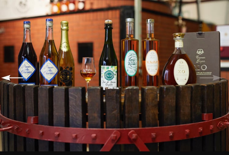 Domaine Viticole Salignac sur Charente - EARL Jean-Roux 1