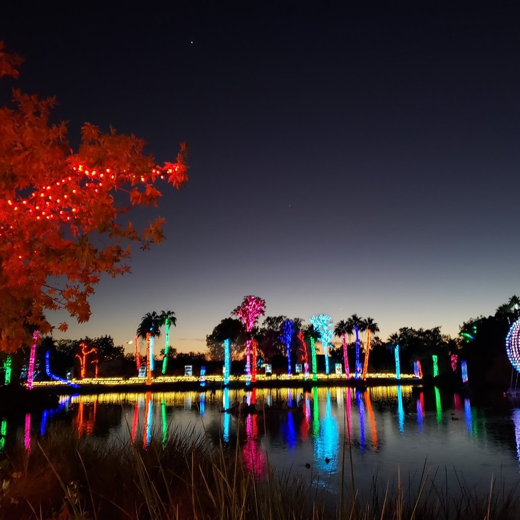Insider Connection - Zoolights 2