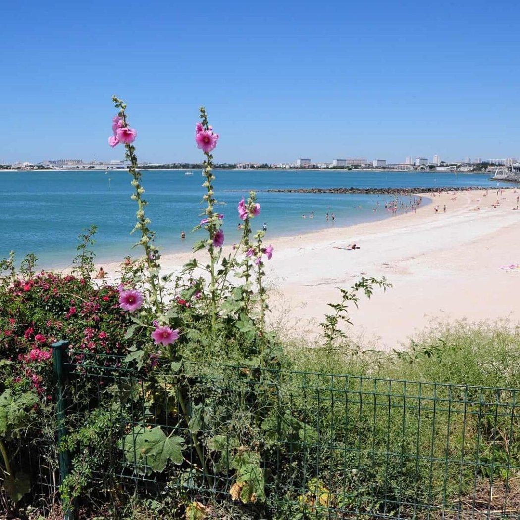 Plage des Minimes 1