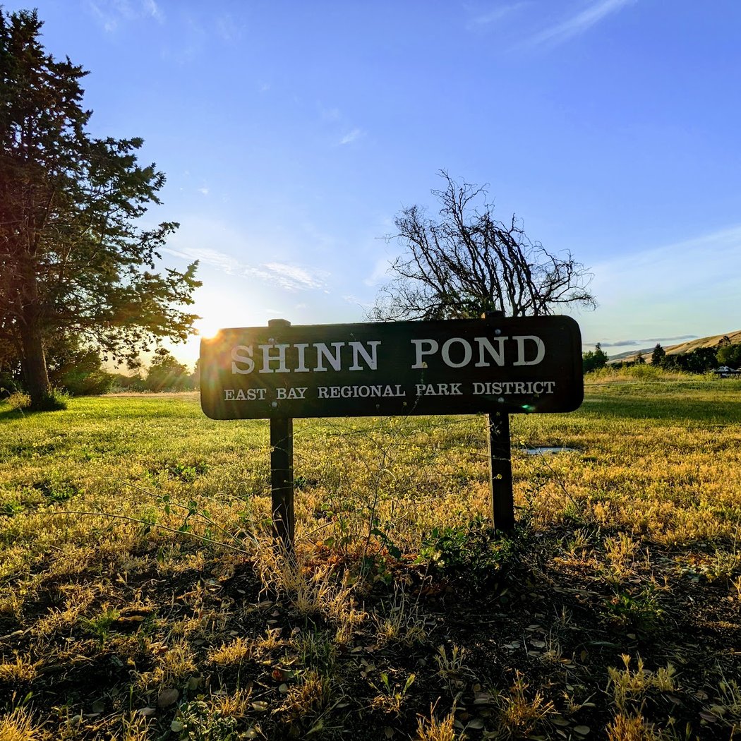 Shinn Pond 3