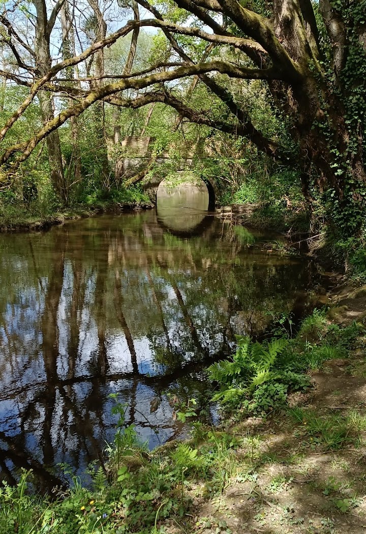 La Chapelle-sur-Erdre 1
