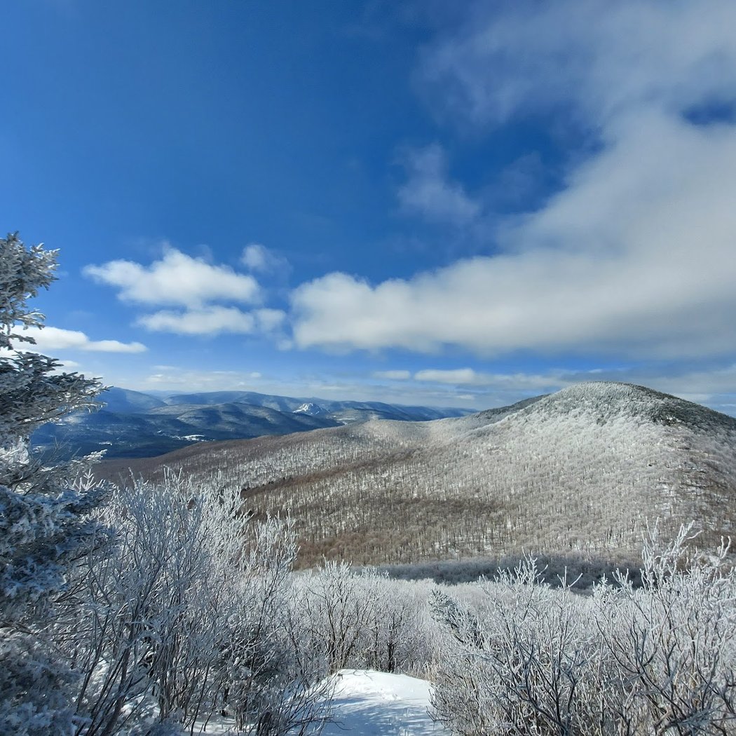 Catskill Park 2