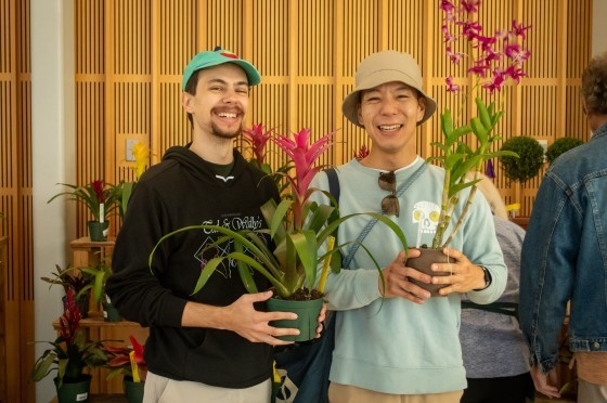 Fall Plant Sale