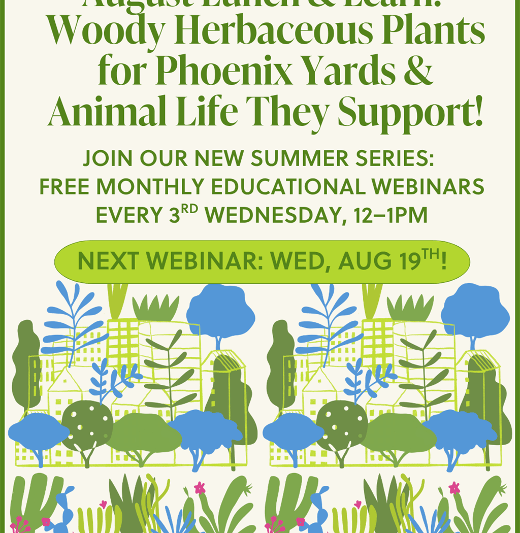 August Lunch & Learn: Woody and Herbaceous Plants for Phoenix Yards
