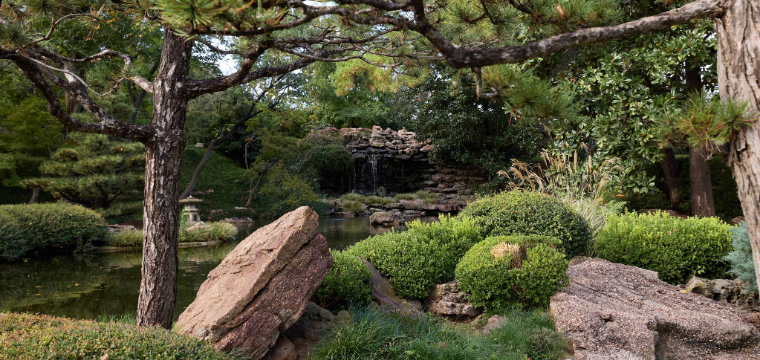Discover Forest Bathing 4