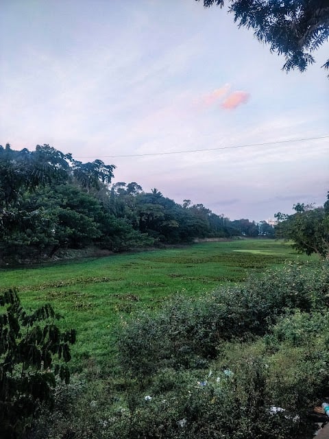 Kengeri Lake 2