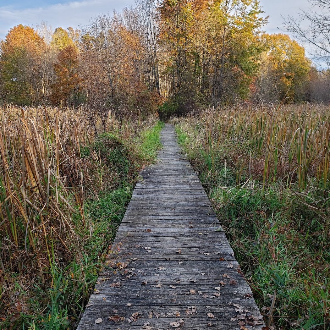Great Swamp National Wildlife Refuge 1