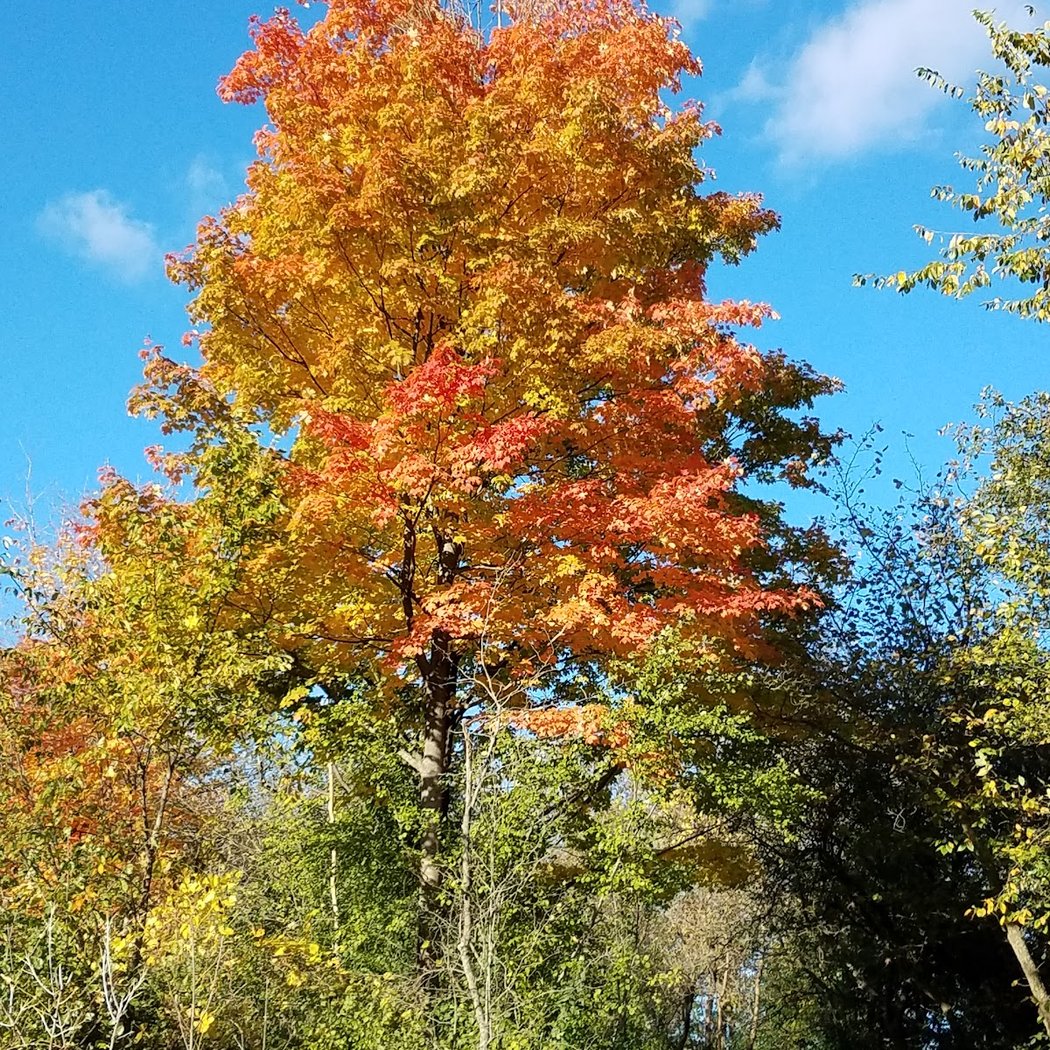 James C Nelson Park 3