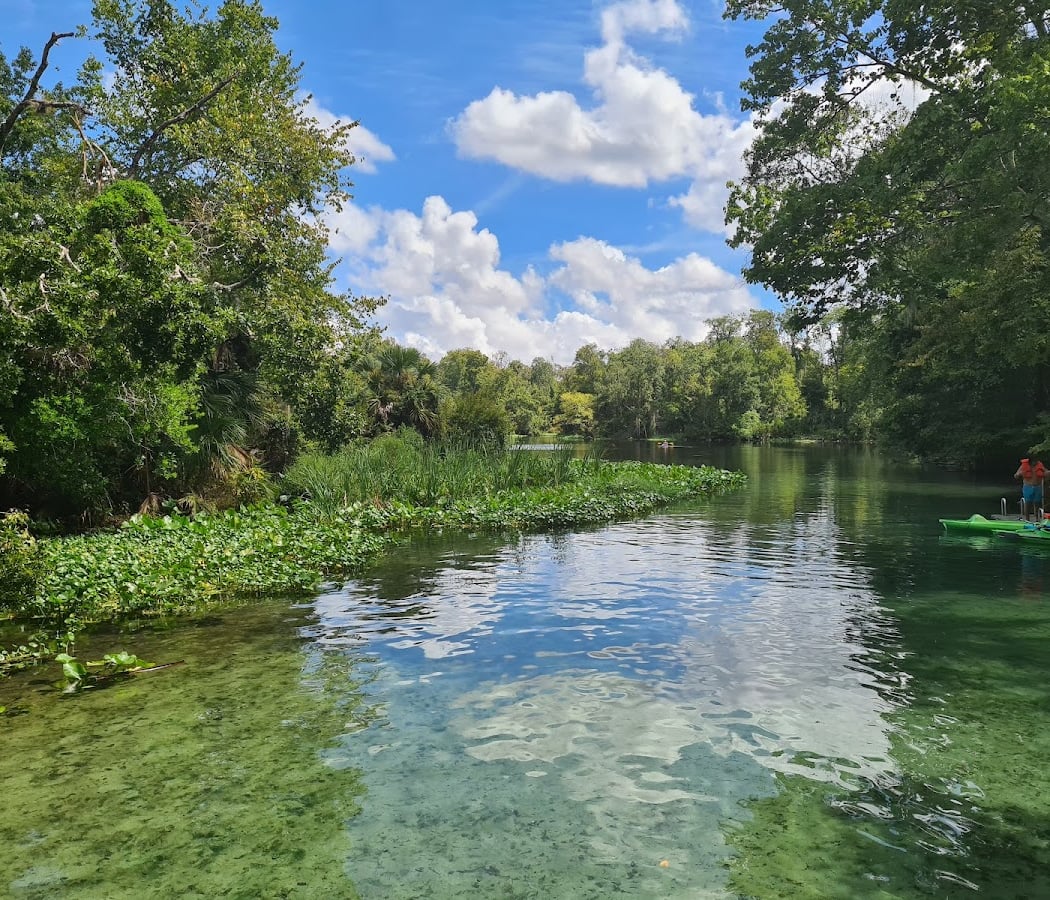 Wekiwa Springs State Park 3