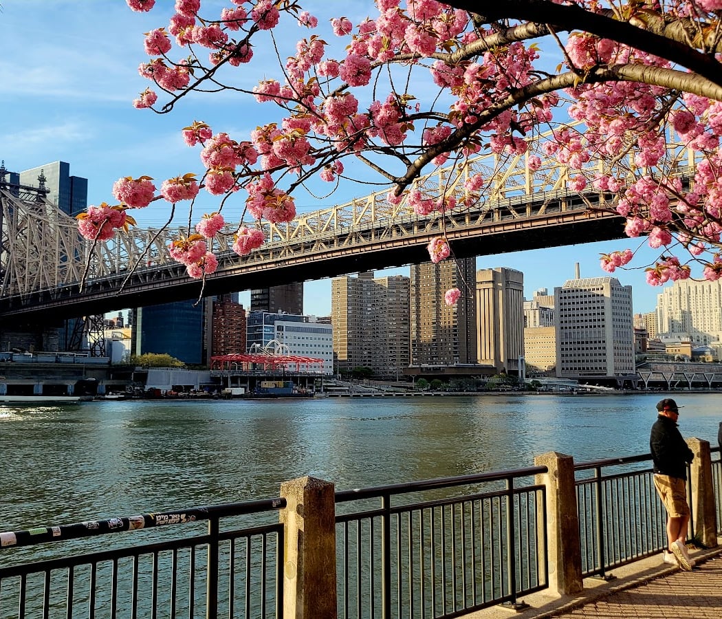 Roosevelt Island Viewpoint - Manhattan Side 1