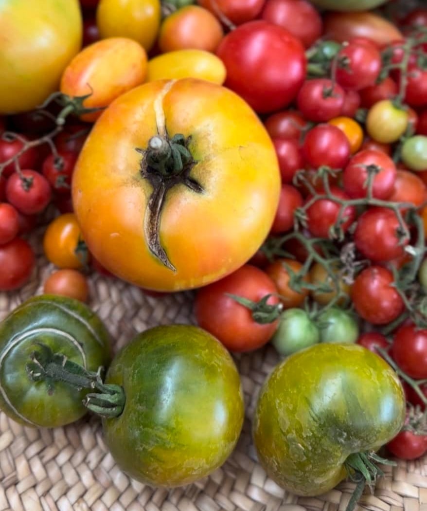 Our Annual Heirloom Tomato Event Returns!