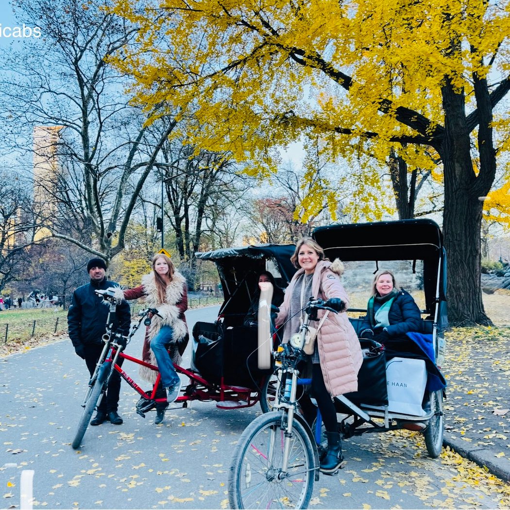 Central Park Tours: Bike, Pedicab & Rentals | Central Park NYC Tours 1