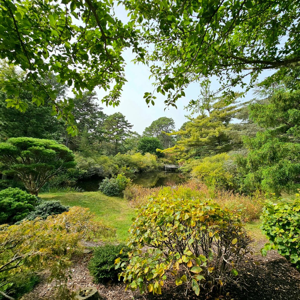 Mytoi Japanese Garden 3