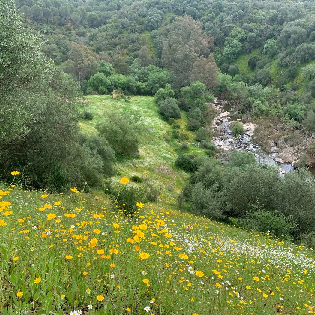 Molino de Sofio 1