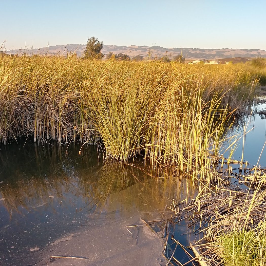 Guided Bird and Nature Walk 3