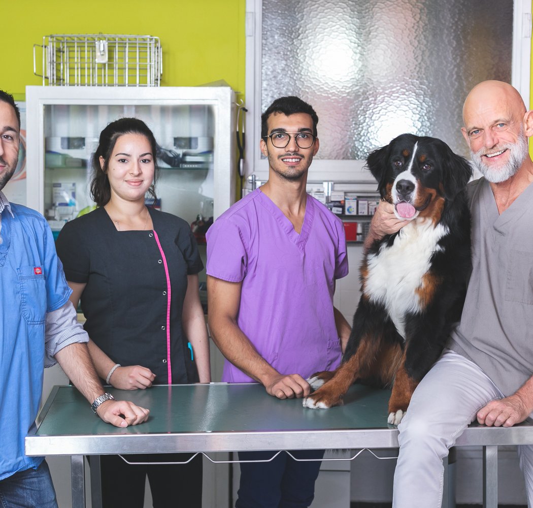 Veterinarian Clinic dr.Dobbelaere 2