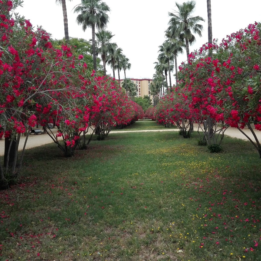 Parque Amate 1