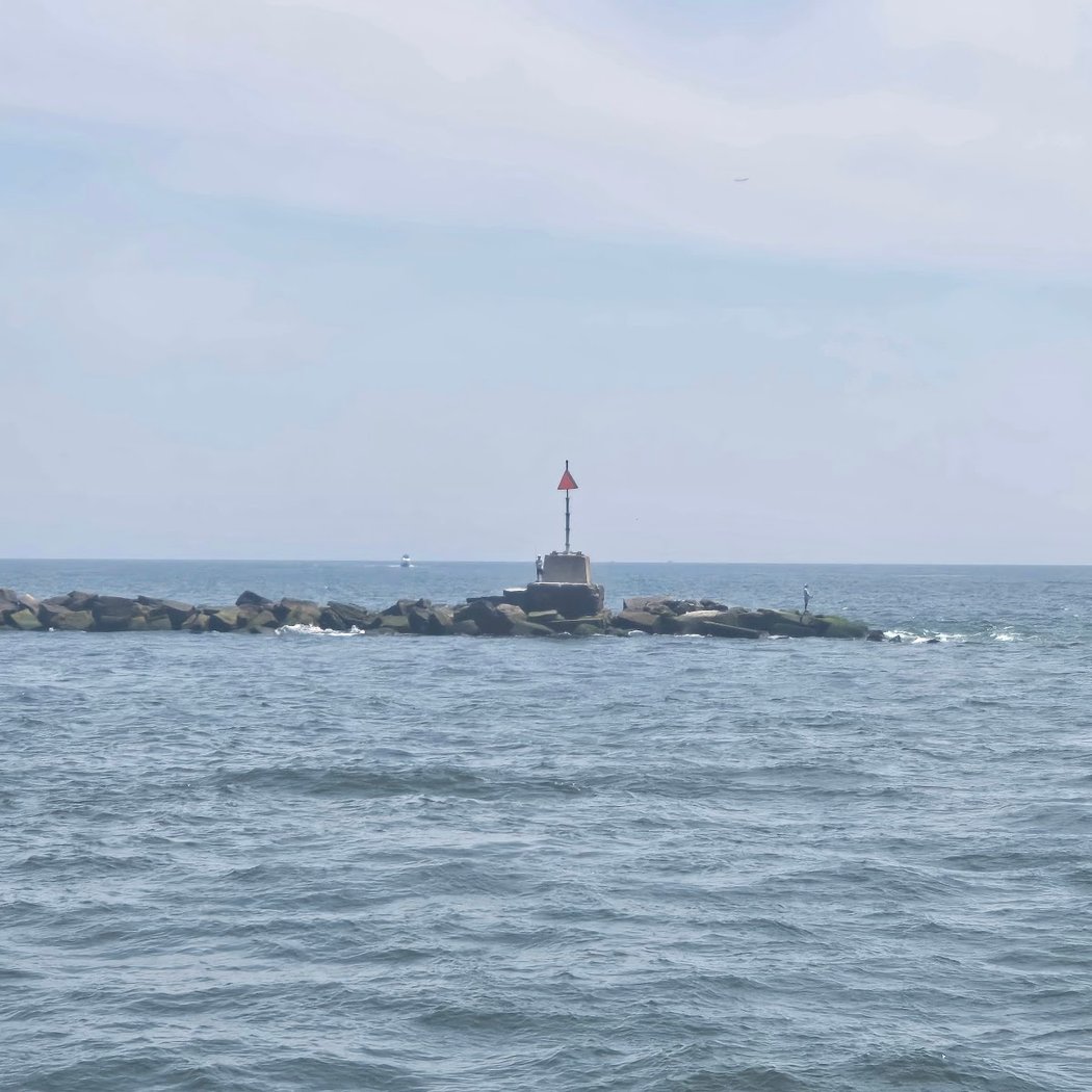 24-Hour Fall Pelagic Bird & Marine Wildlife Trip 3
