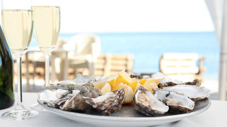 Island Oyster 3