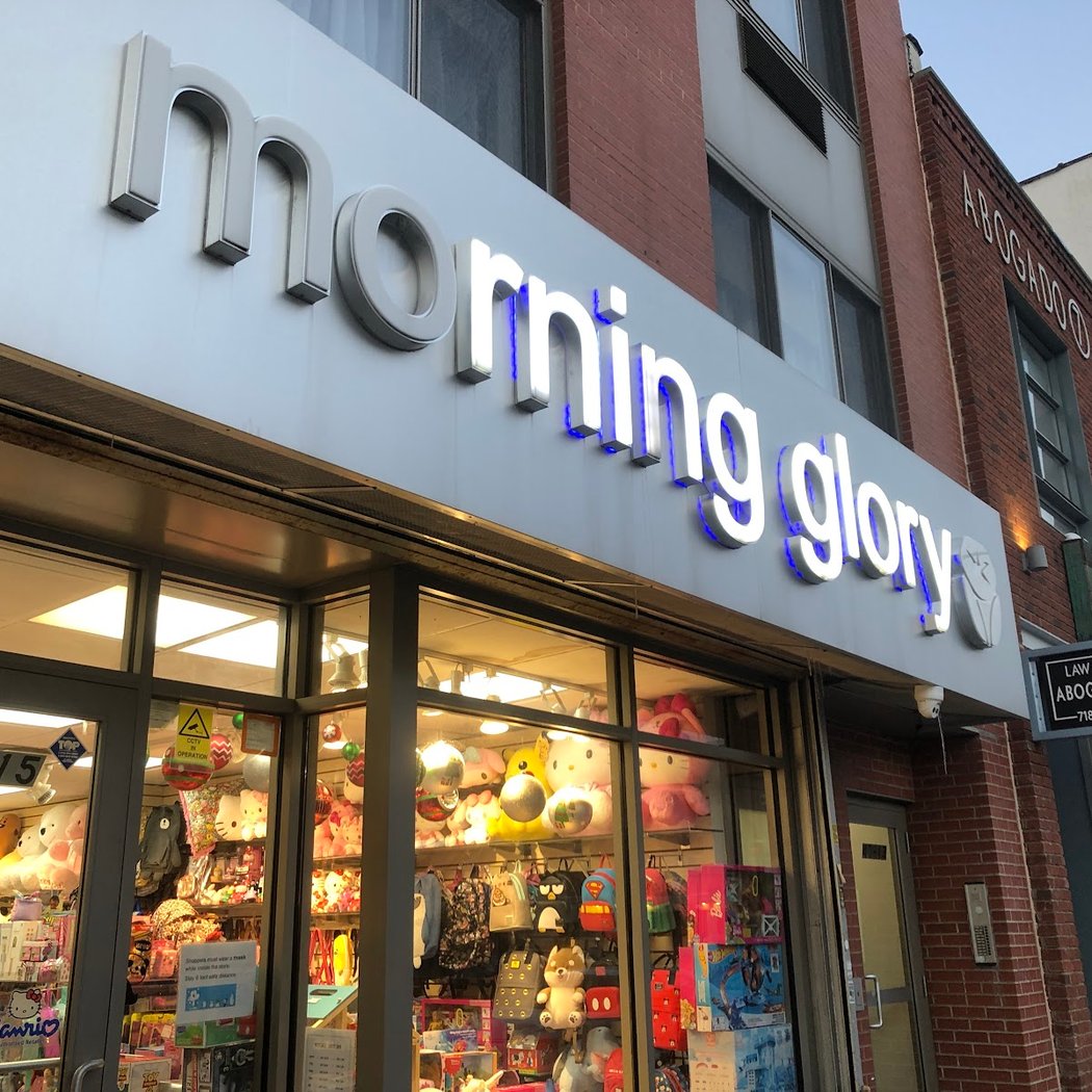 Morning Glory 2
