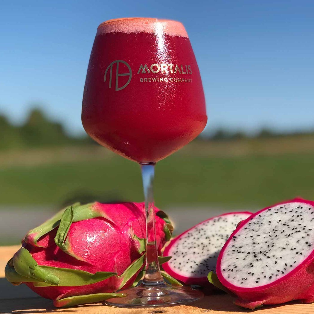Mortalis Brewing Company FLX Avon 1