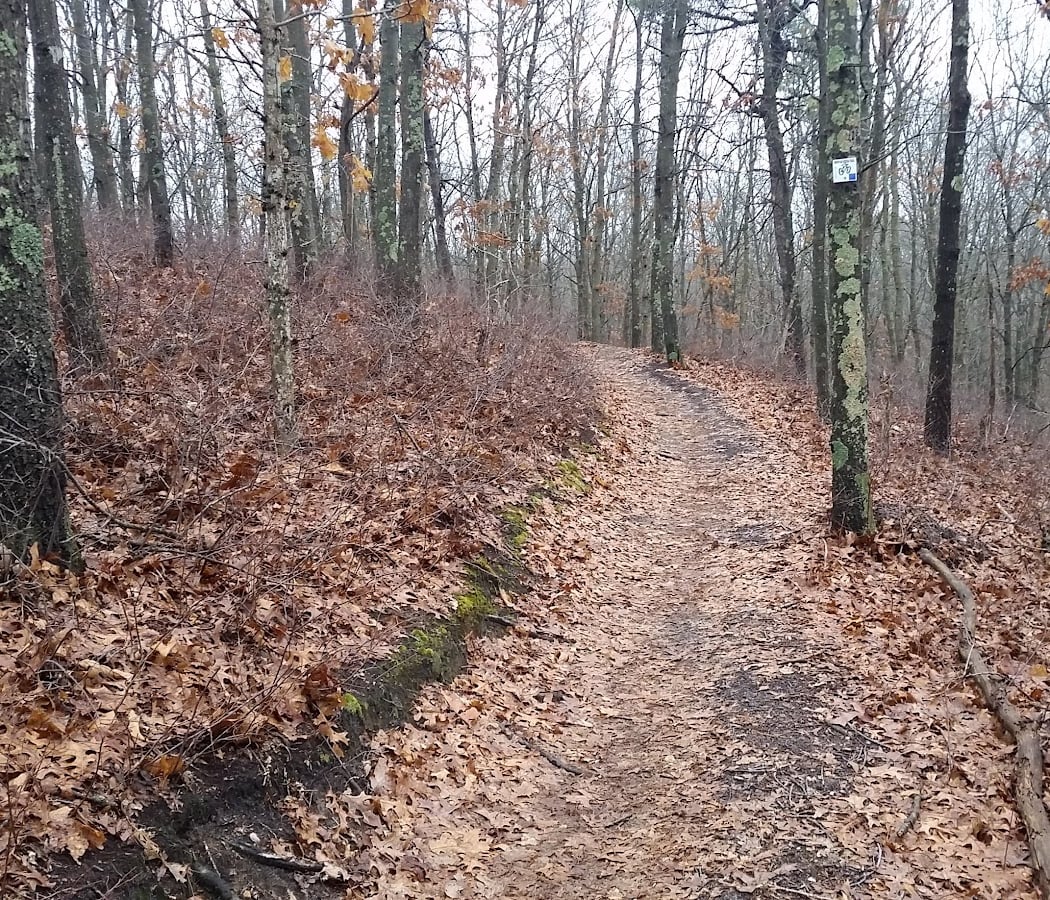Glacier Ridge Bike Trail 2