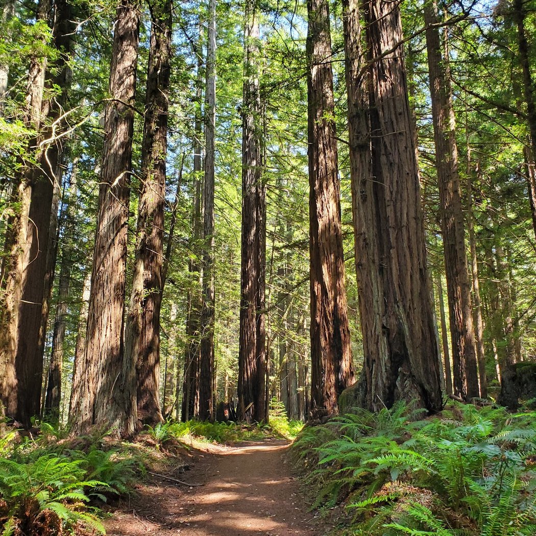McCurdy Trailhead 1