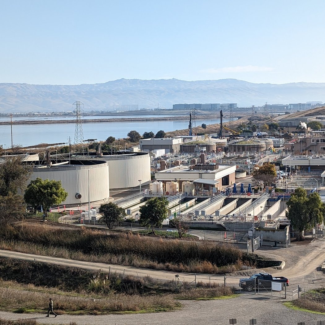 Lunchtime Birding at Sunnyvale Water Pollution Control Plant 1