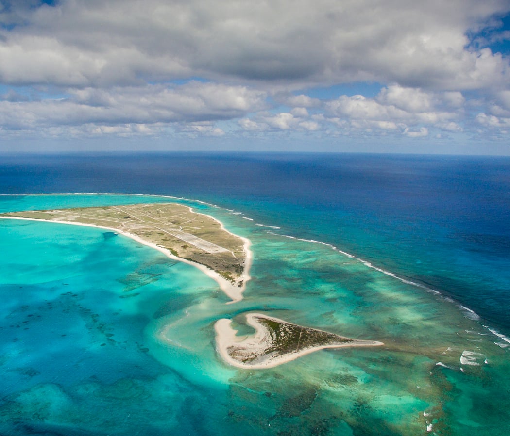 Ocean Paradise 2