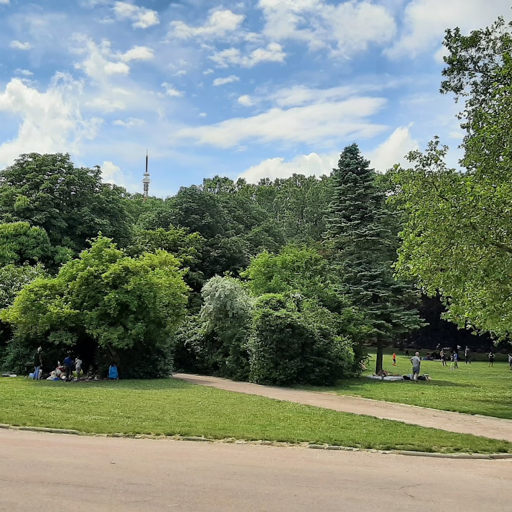 Parc de la Sapinière 3