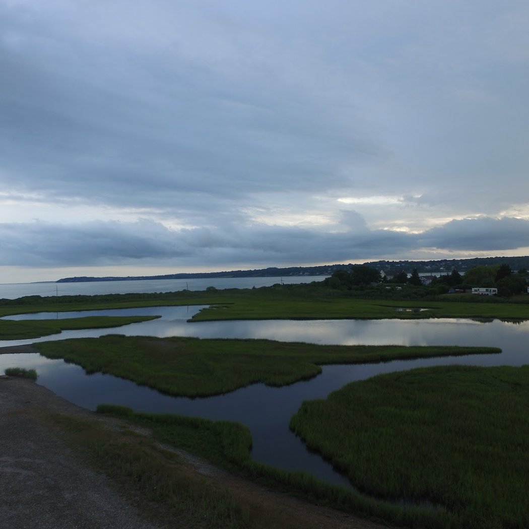 Fogland Beach 3