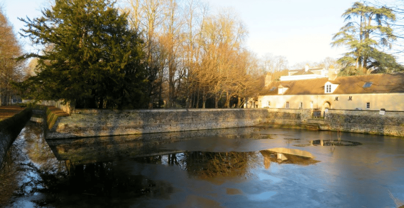 Notre-Dame Forest 2