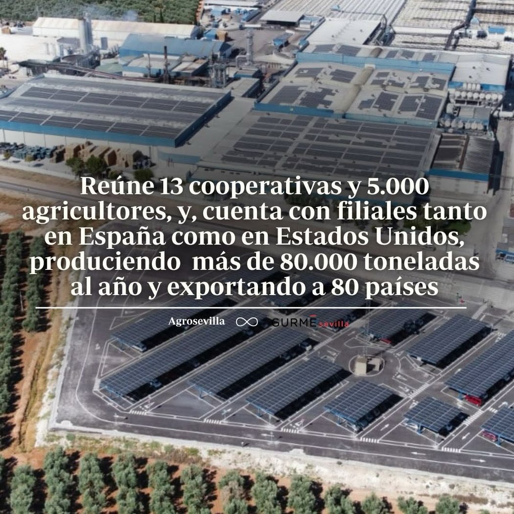 Agro Sevilla Aceitunas, S.Coop.And. 1