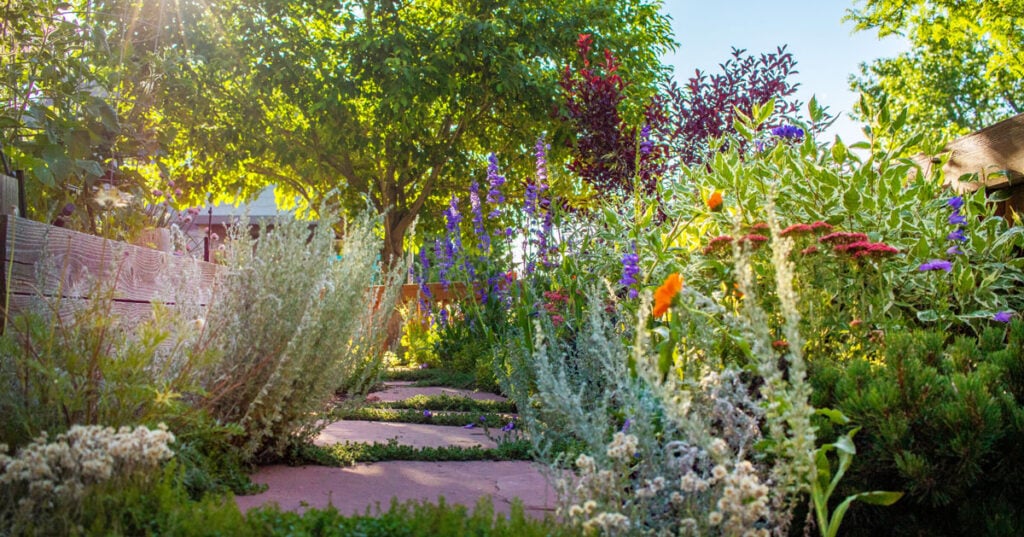 Xeriscape Demonstration Garden Tour