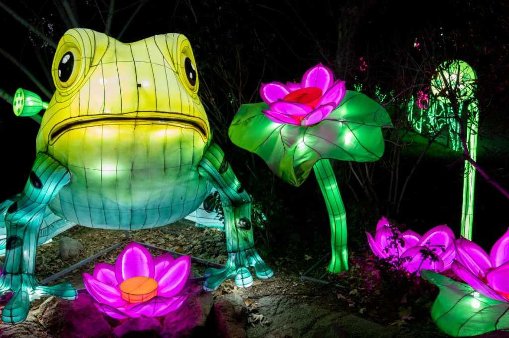 Glowfari Lights 1